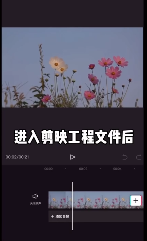 剪映裁剪在哪里 剪映裁剪使用方法_wishdown.com 剪映裁剪在哪里 剪映裁剪使用方法_wishdown.com