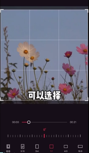 剪映裁剪在哪里 剪映裁剪使用方法_wishdown.com 剪映裁剪在哪里 剪映裁剪使用方法_wishdown.com