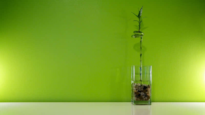 "生日这天,这样发,朋友圈被赞爆了"_wishdown.com "生日这天,这样发,朋友圈被赞爆了"_wishdown.com