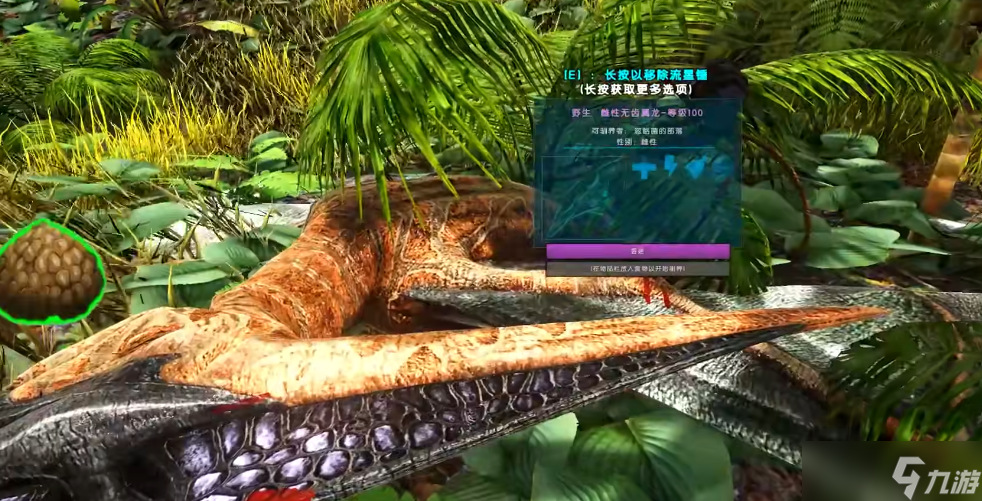 �����������������ôѱ