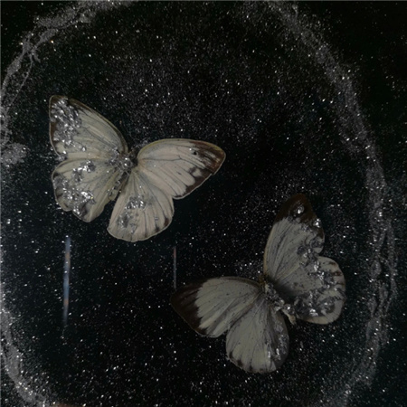 ��ҹ�˸е�������������(��ѡ100��)