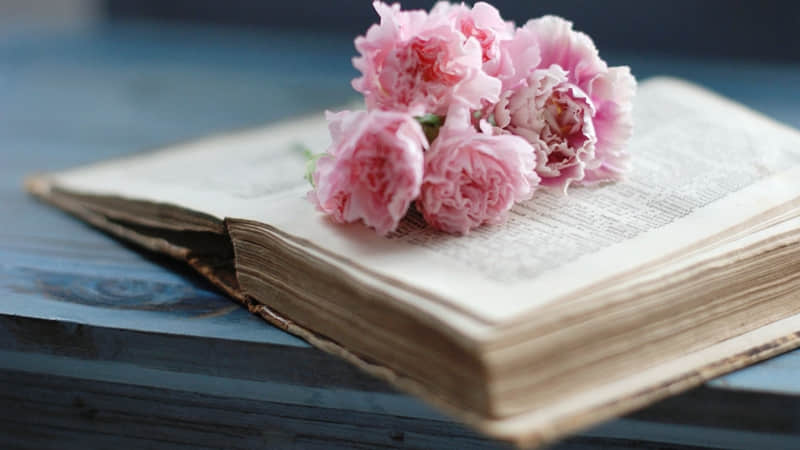 ��2026�����㲻�ҷ�����Ȧ���İ���??