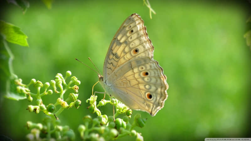 “????????够你发很久的朋友圈文案”??_wishdown.com “????????够你发很久的朋友圈文案”??_wishdown.com