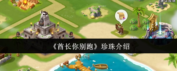 ���������������ʲô  ����������������