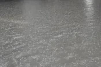 �㶫����ʽ��ȷ��Ϊ��Ƽ��ʲô��