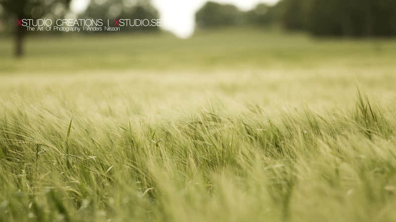 “收藏了很久,人间温柔,高级小众的短句”_wishdown.com “收藏了很久,人间温柔,高级小众的短句”_wishdown.com