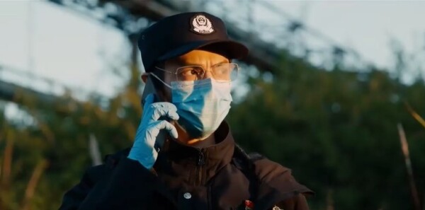 �����17���������