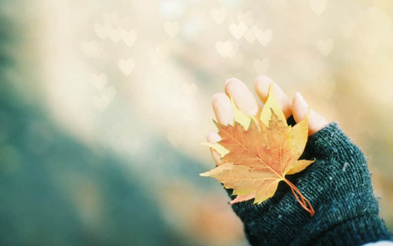 ����һ�䣬ȥ������������ˡ�