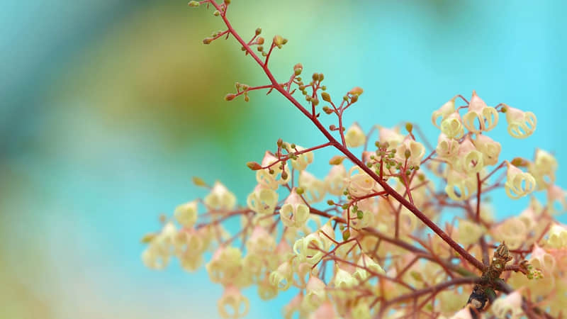 “超哇塞的早安文案,没人舍得屏蔽你"_wishdown.com “超哇塞的早安文案,没人舍得屏蔽你"_wishdown.com