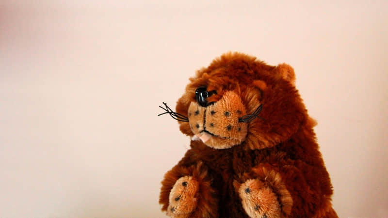 魅力且自知的美丽坏女人文案_wishdown.com 魅力且自知的美丽坏女人文案_wishdown.com