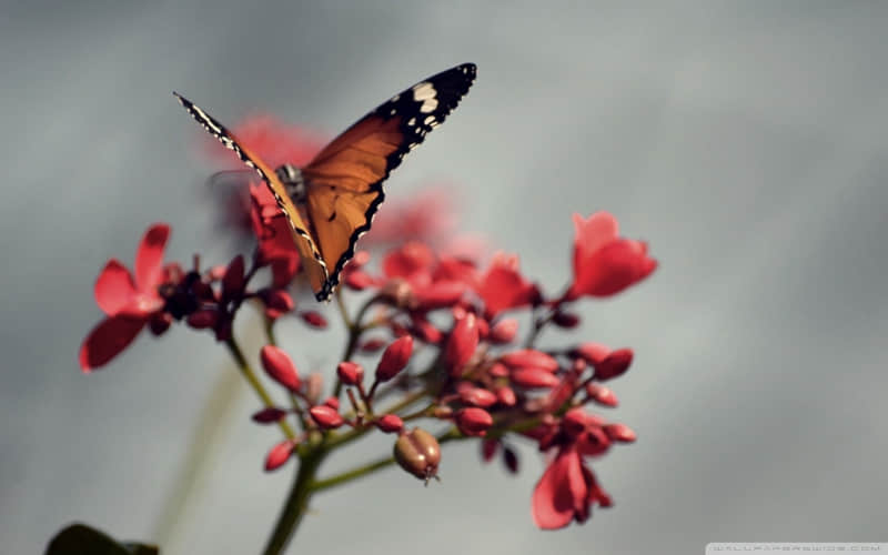 "努力生活的人,朋友圈这样发??"_wishdown.com "努力生活的人,朋友圈这样发??"_wishdown.com