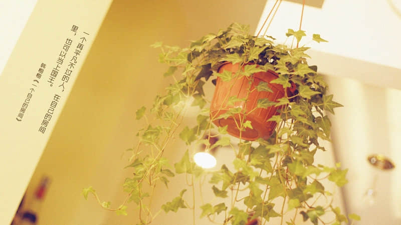 “清醒而不烂俗的朋友圈走心文案”_wishdown.com “清醒而不烂俗的朋友圈走心文案”_wishdown.com