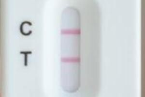 ���������󻹻��С���������