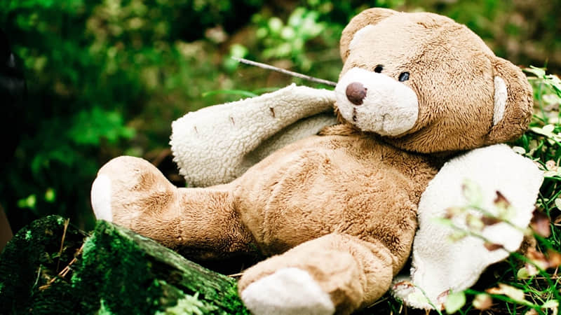 “朋?友?圈?这样发,很治愈,没人不点赞!”_wishdown.com “朋?友?圈?这样发,很治愈,没人不点赞!”_wishdown.com