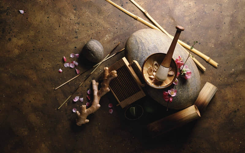 “天生反骨,句句欠揍!”_wishdown.com “天生反骨,句句欠揍!”_wishdown.com