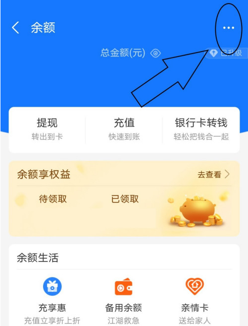 支付宝余额明细怎么看 支付宝查看余额明细图文教程_wishdown.com 支付宝余额明细怎么看 支付宝查看余额明细图文教程_wishdown.com