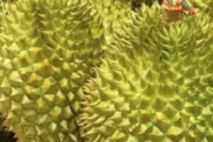 ��˭�Ƹ��������۸�