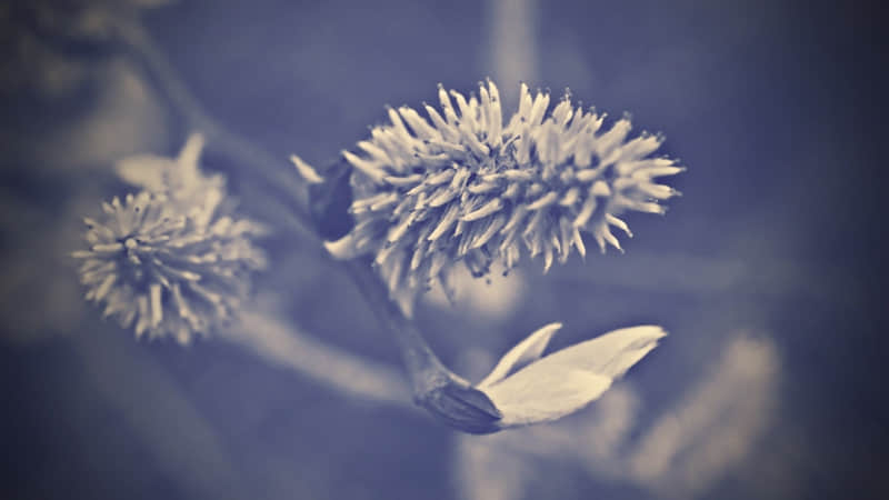 “那些又痞又坏的幽默文学”_wishdown.com “那些又痞又坏的幽默文学”_wishdown.com