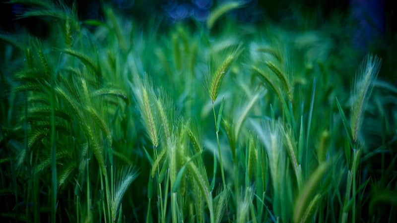 “2?2?这样发朋友圈,一直顺顺顺.?.”_wishdown.com “2?2?这样发朋友圈,一直顺顺顺.?.”_wishdown.com