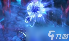 ���޴�½�Ի�����˽�����������������