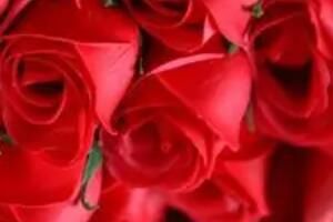 520��Ů���ѻ����ٶ����