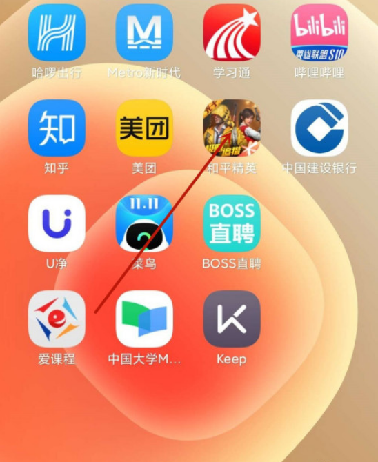 和平精英战绩不显示怎么设置 和平精英关闭战绩方法_wishdown.com 和平精英战绩不显示怎么设置 和平精英关闭战绩方法_wishdown.com