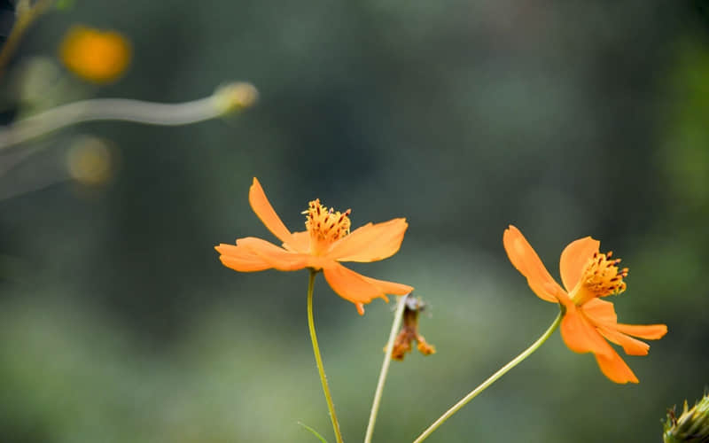 ��Ů�������������˿������ۡ�