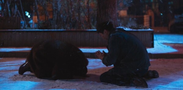 �Ͼ˵�19���������