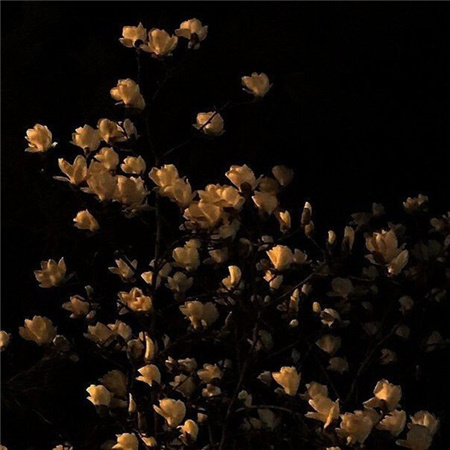 ���ļ������˸�����(��ѡ100��)