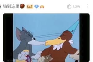 è�����ʲô��˼