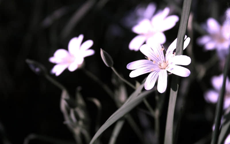 ��һ��Ů����ô����΢�ţ���ʵ����ϲ���㡱