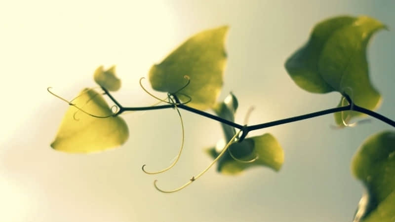 �����Ϸ�������в�??��