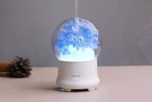 加湿器加了水还显示缺水怎么办?加湿器加了水还显示缺水解决办法_wishdown.com 加湿器加了水还显示缺水怎么办?加湿器加了水还显示缺水解决办法_wishdown.com