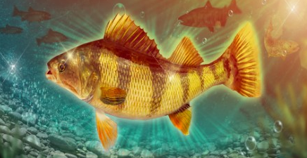 �����Ծ������ؼ� �����Ծ����㹥��