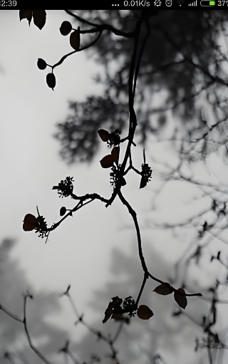 2026�����й���ͼƴͼ��Ϸ�ϼ��Ƽ�������Ȥζ˫����