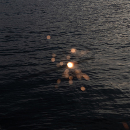 �˸в����ε���������(��ѡ100��)