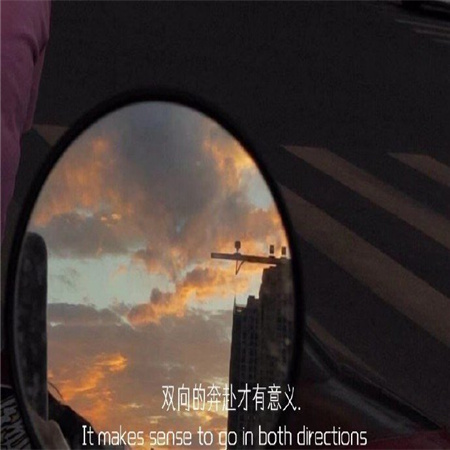 �˸в�ʧ���ŵ���������(��ѡ100��)