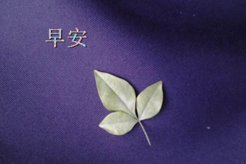 ��????????��һ�䣬ȥ΢���ö���??��