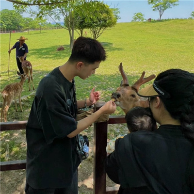 ����������ǳƴ�ȫ����(��ѡ100��)