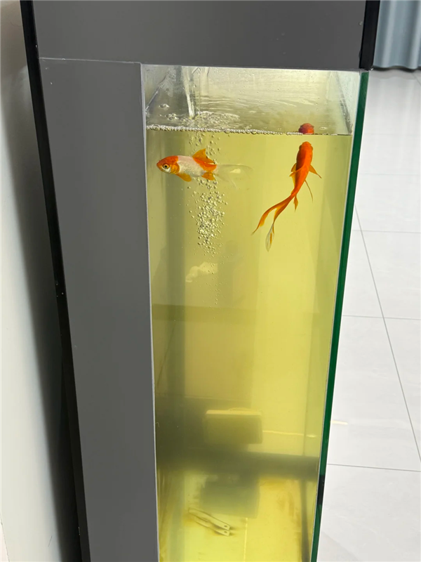 2026��׹�����ѡ��ȫ���ԣ����ֱܿ�ָ�� ���������ѡ�����ͺ�