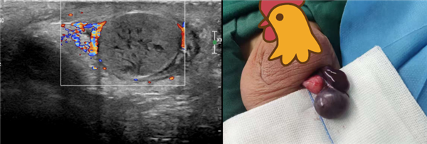 �к�ˤ����ǧغ��Ťת540�� ����6Сʱ���Ȼƽ����������г�