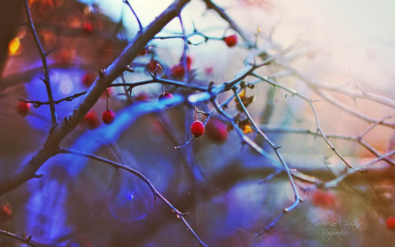 ��ĸ�Ӿ֣���ô��̫�а���??��