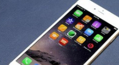 ƻ���ֻ�����İ�����ŵĲ�������