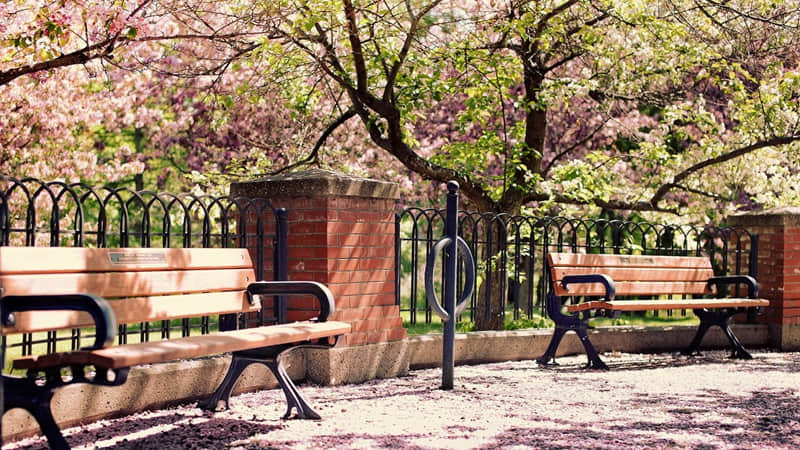 �����ұ��ˣ������Ҷ���