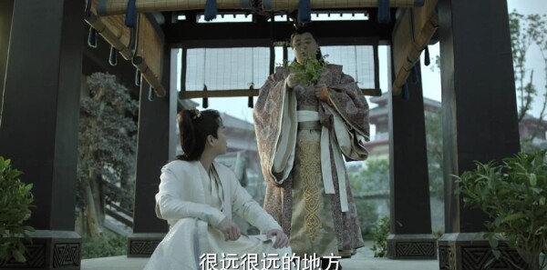 �������20���������