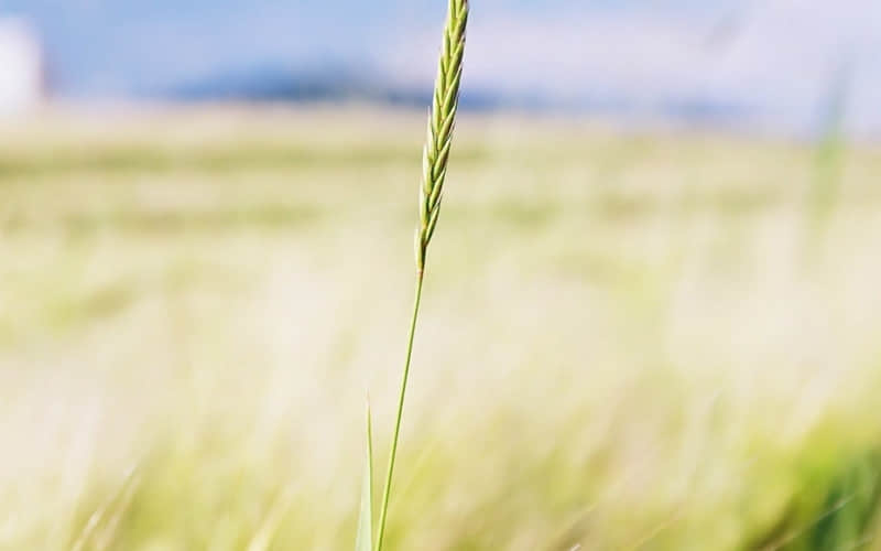 “成交后这么晒单,老客户看了暖心,新客户看了动心”_wishdown.com “成交后这么晒单,老客户看了暖心,新客户看了动心”_wishdown.com