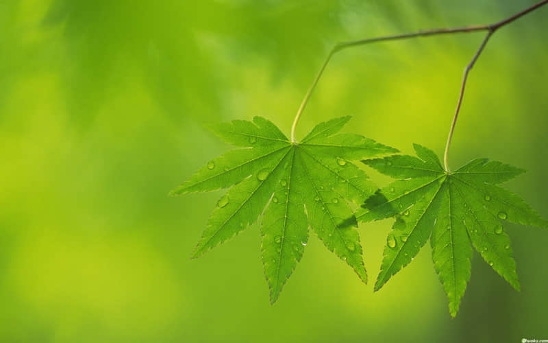 �������Ů�˵Ķ������ѣ����ɱ�衱