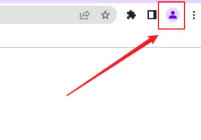 谷歌浏览器如何登陆账号?谷歌浏览器登陆账号的方法教程_wishdown.com 谷歌浏览器如何登陆账号?谷歌浏览器登陆账号的方法教程_wishdown.com