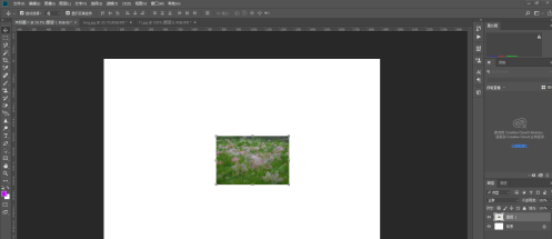 photoshop cc 2018����ʹ��ͿĨ���ߣ�photoshop cc 2018ʹ��ͿĨ���ߵķ���