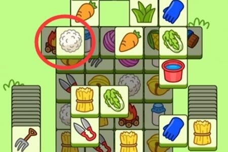 ���˸�����Ϸ������ʲô���ɹ���